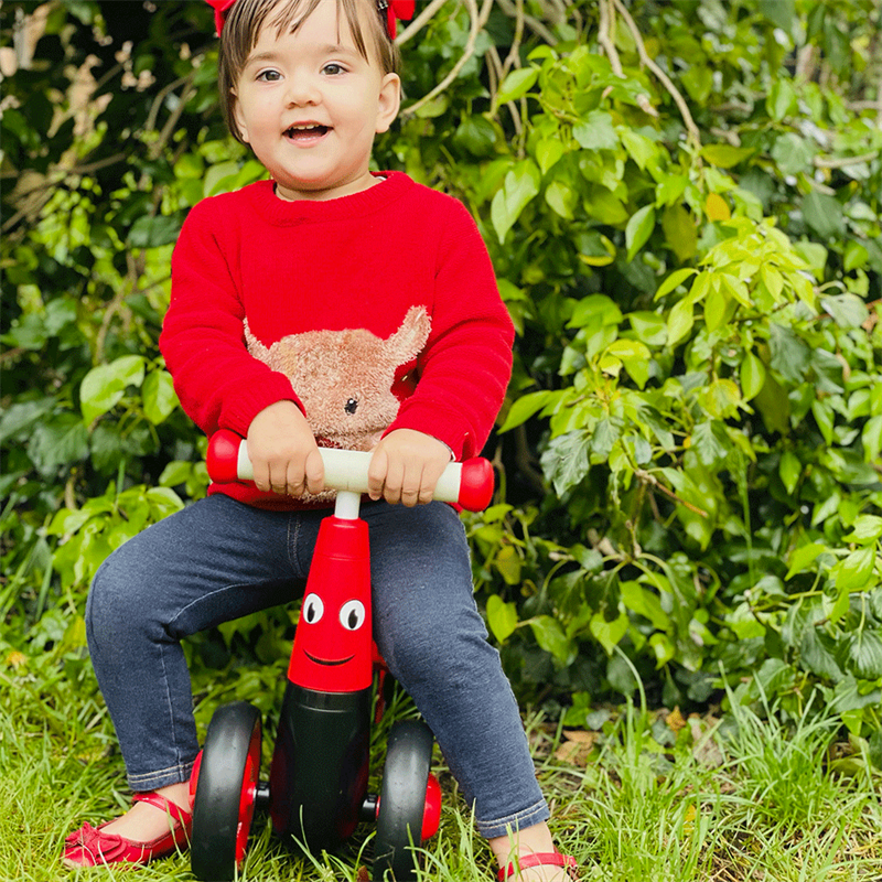 DIDITRIKE - LADYBIRD (AGE 12+ MONTHS)