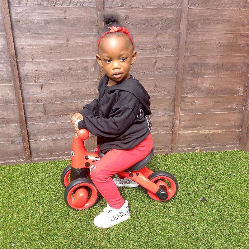 DIDITRIKE - LADYBIRD (AGE 12+ MONTHS)