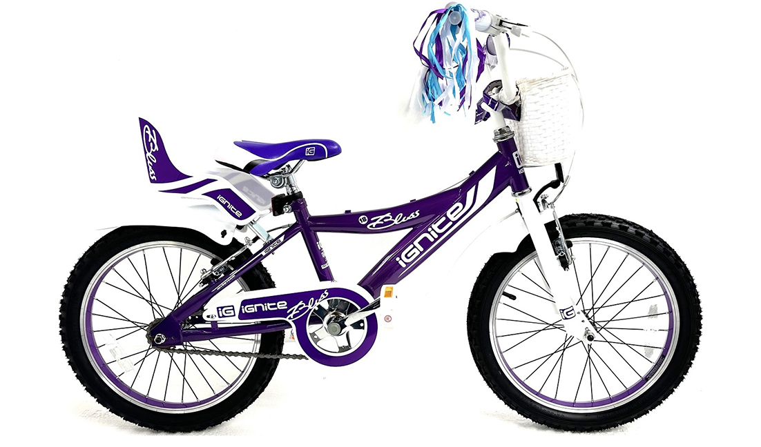 Girls hotsell purple bike