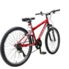 IGNITE FRENZY 24" BOYS MOUNTAIN BIKE