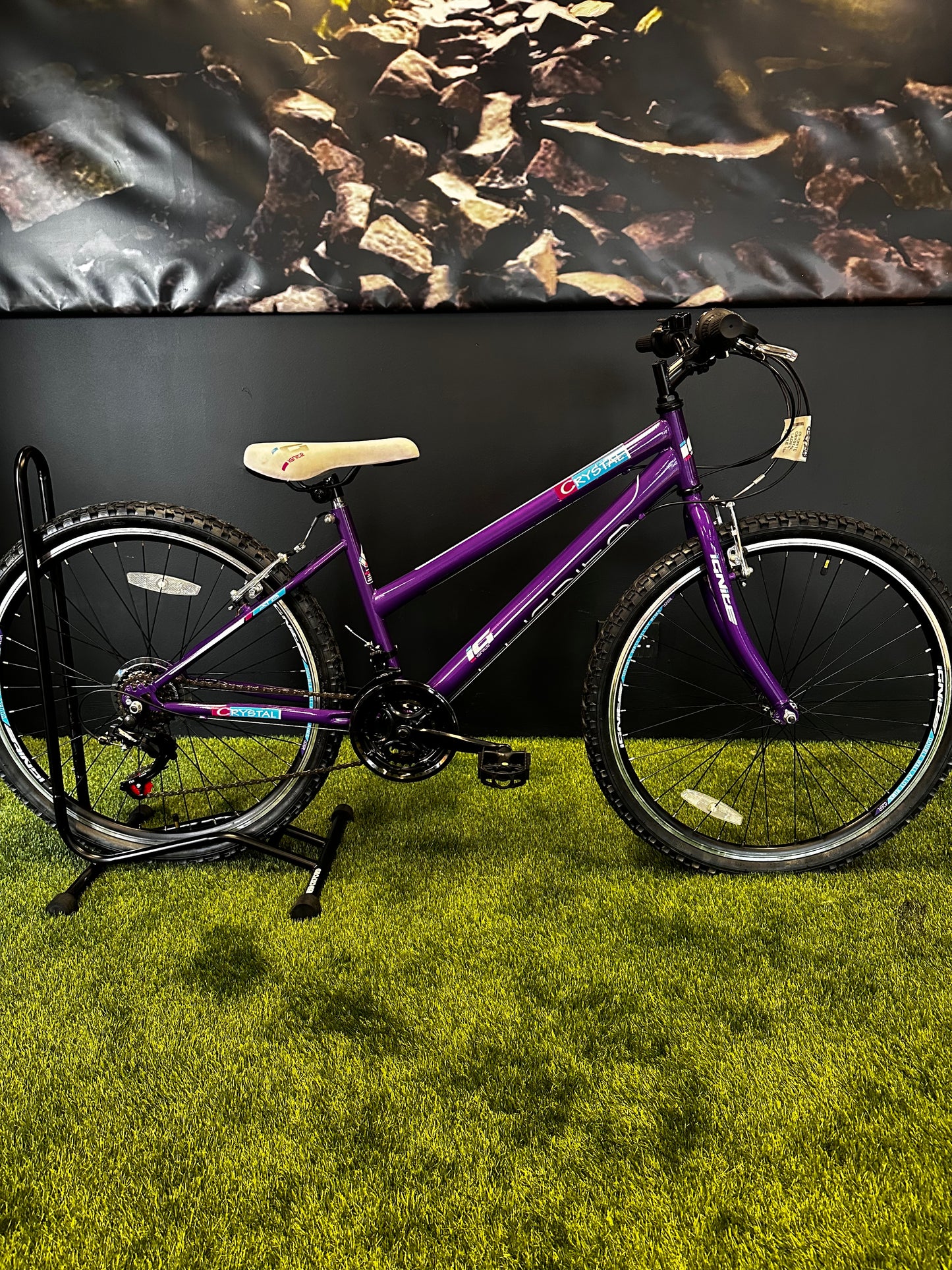 IGNITE - CRYSTAL 26" LADIES PURPLE