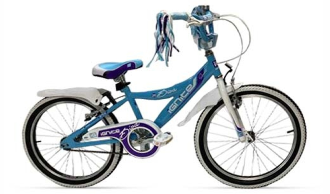 Girls blue 2024 mountain bike