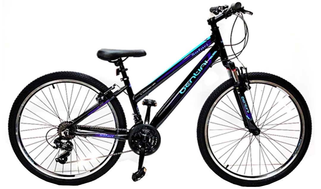 Bentini ladies best sale bikes