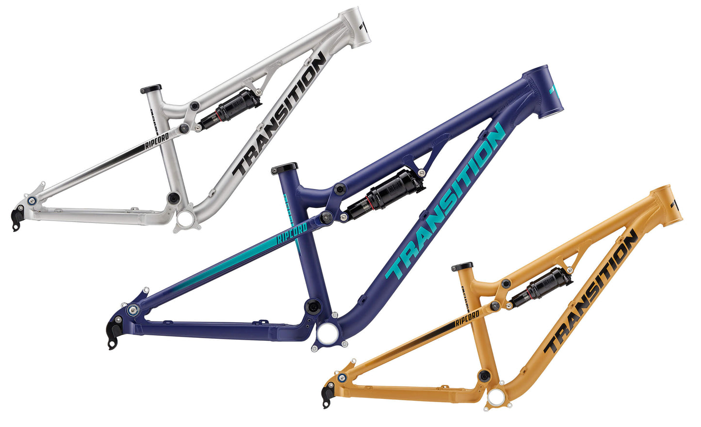 TRANSITION - RIPCORD 24" BOYS GRAPE AND TEAL