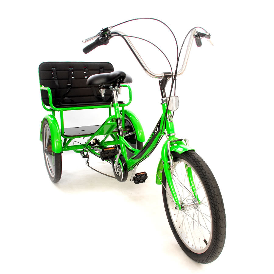 MISSION - RV CHILD TRANSPORTER