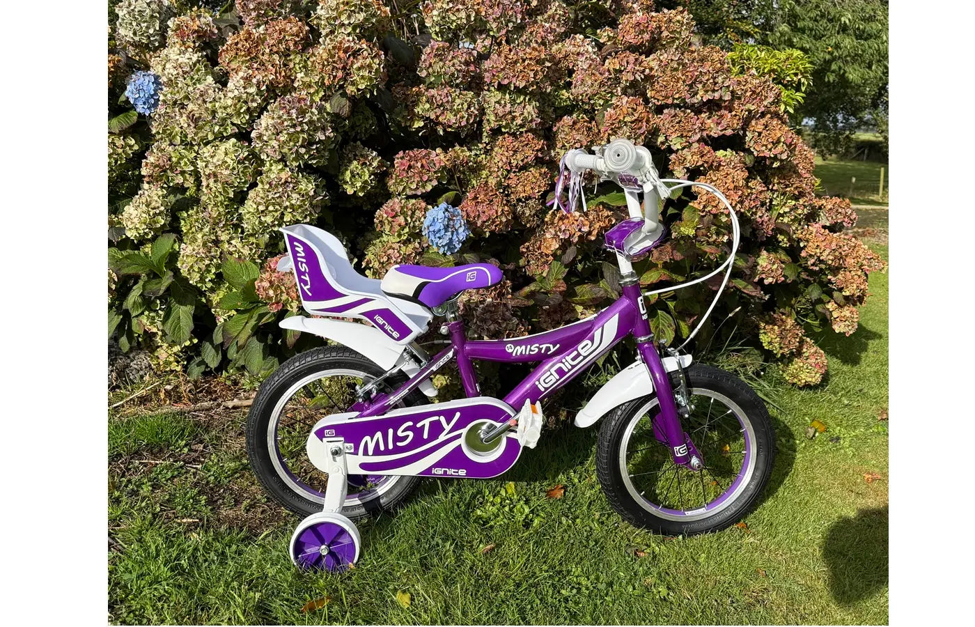 IGNITE - MISTY 14" GIRLS PURPLE