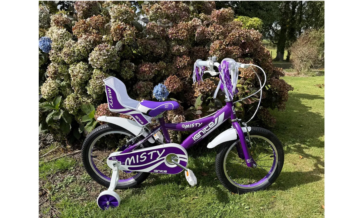 IGNITE - MISTY 16" GIRLS PURPLE