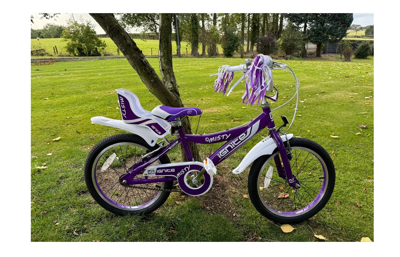 IGNITE - MISTY 18" GIRLS PURPLE