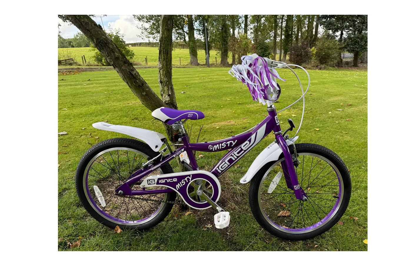 IGNITE - MISTY 20" GIRLS PURPLE