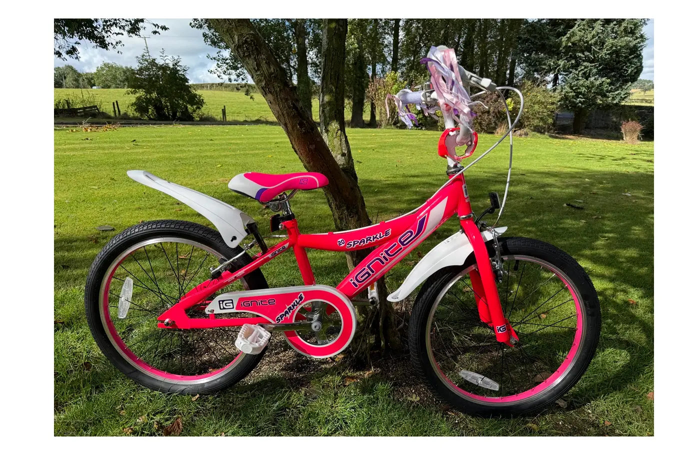 IGNITE - SPARKLE 20" GIRLS PINK