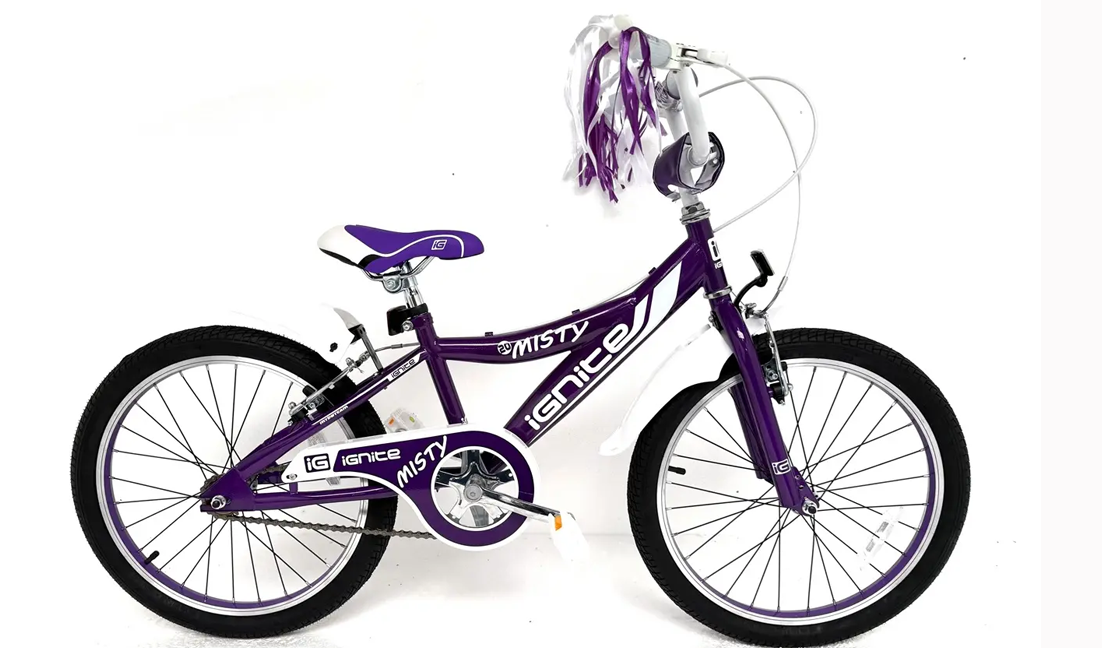 IGNITE - MISTY 20" GIRLS PURPLE