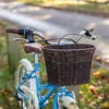 ELSWICK CHERISH 20" HERITAGE GIRLS BIKE – HAWAIIAN BLUE