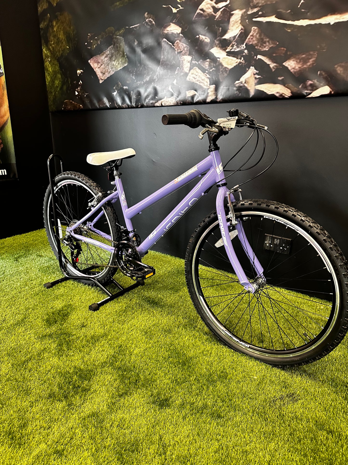 IGNITE - SANTENA 26" LADIES PURPLE