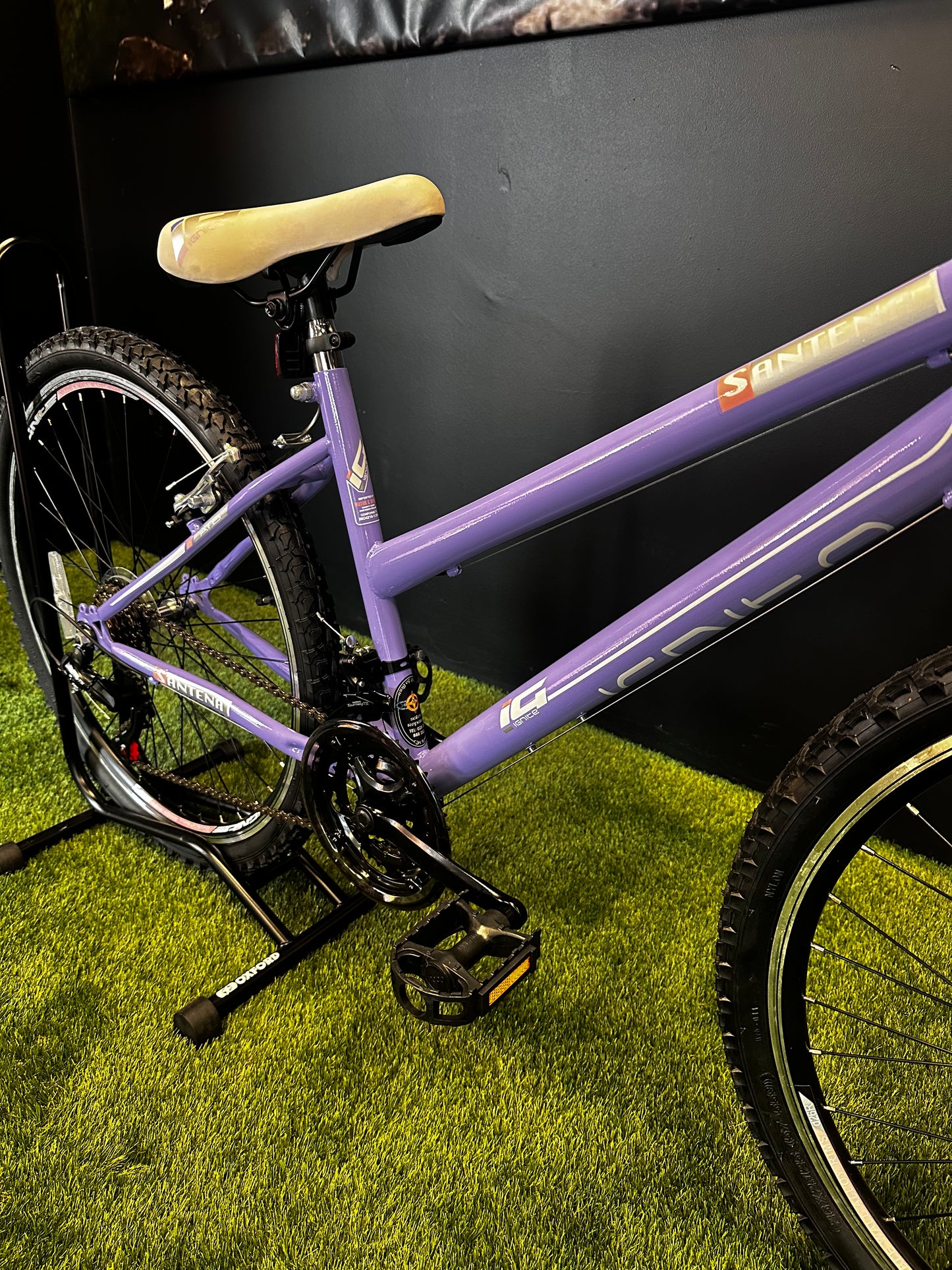 IGNITE - SANTENA 26" LADIES PURPLE