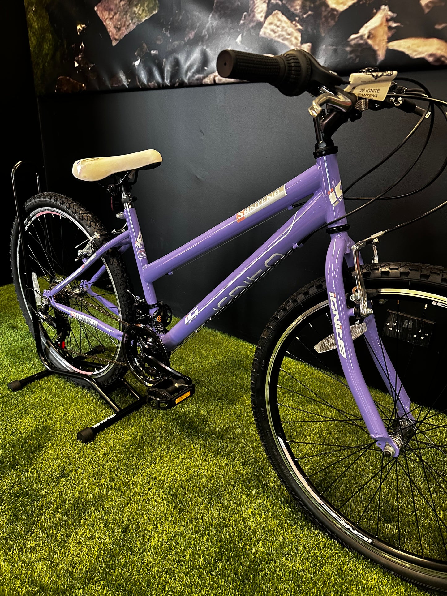 IGNITE - SANTENA 26" LADIES PURPLE